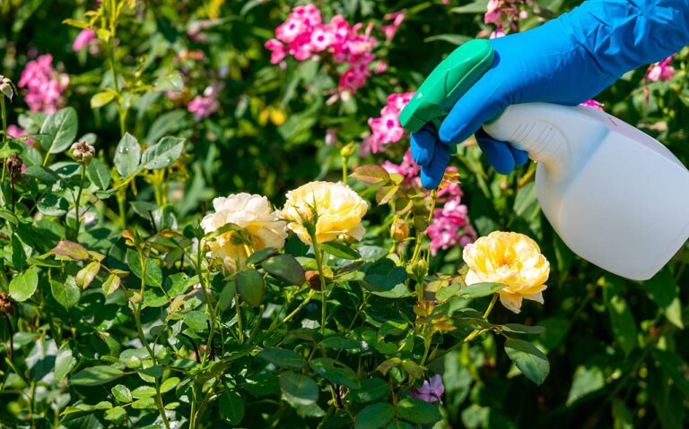 Expert Recommendations: Best Weed Killer for Flower Beds (2024)