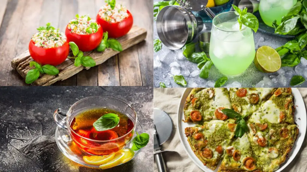 basil recipes