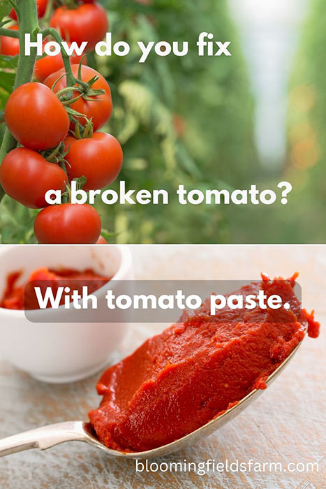 broken tomato site