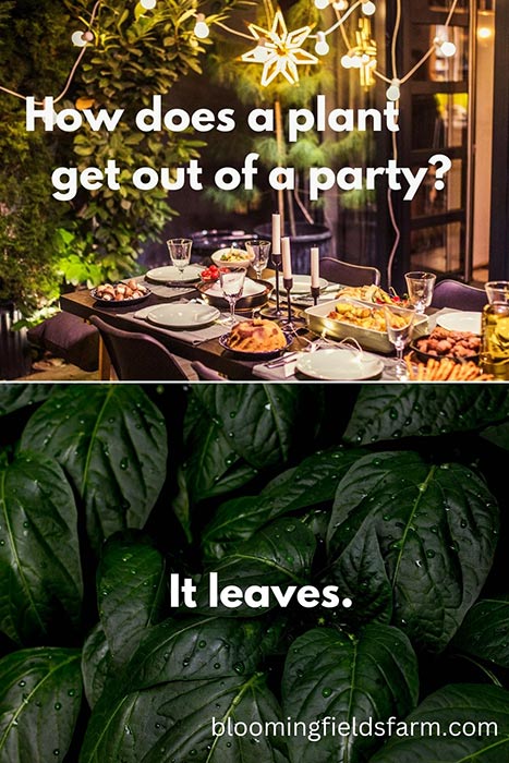 leaves party