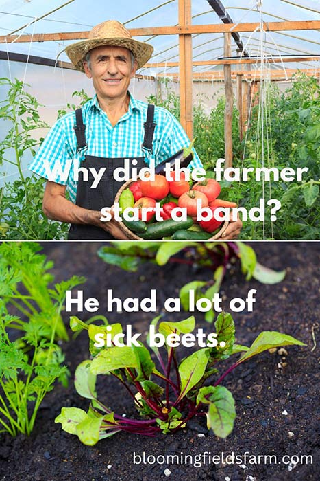 sick beets site